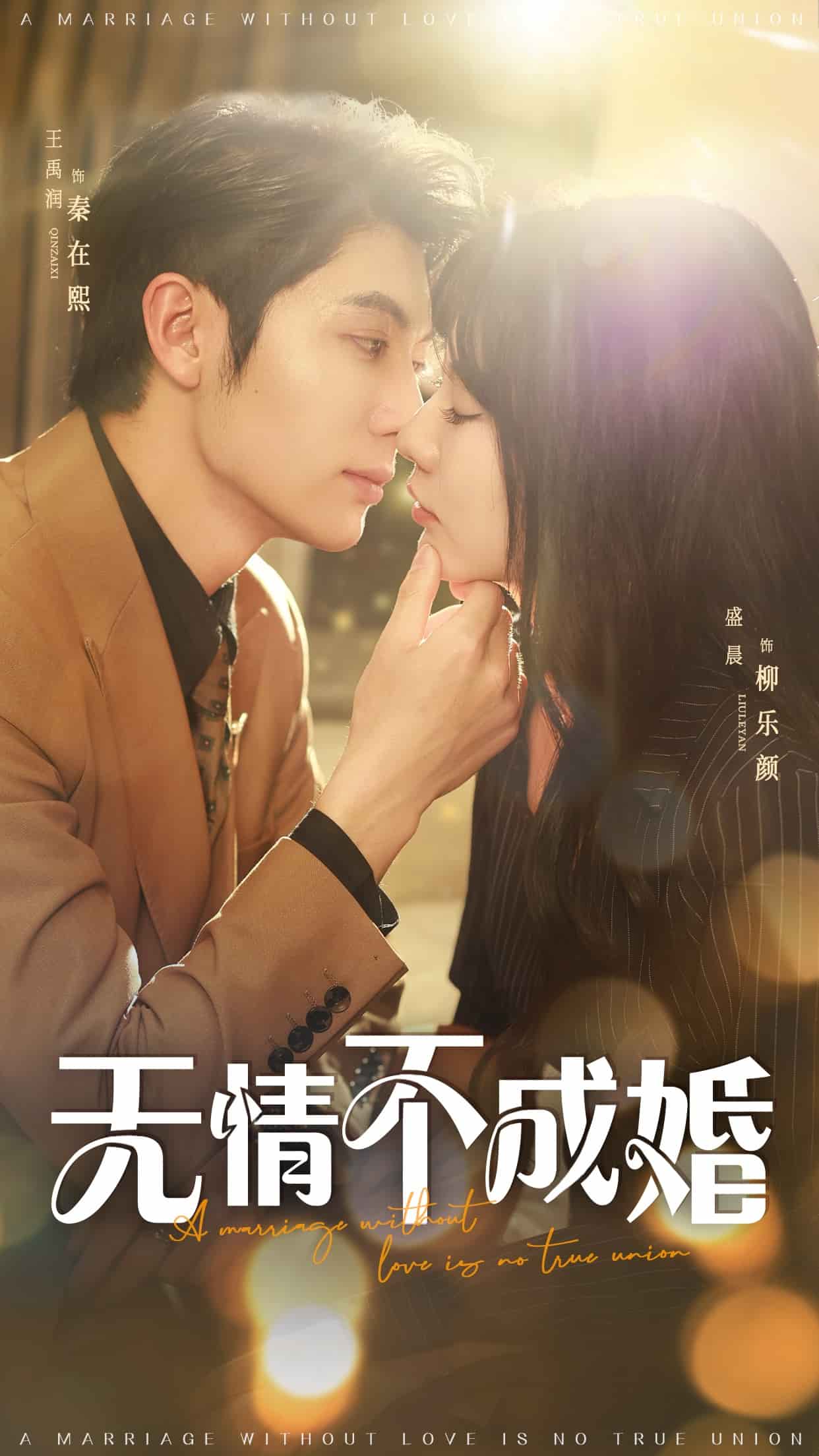 无情不成婚